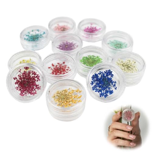 LWLWA Nagel Getrocknete Blumen 12 Farben Trockenblumen Nägel, Dreidimensionales Nail Art Flowers Set, mit Transparenter Kleiner Box, für Nagelkunstdekoration, Schmuckdesign, Lesezeichen von LWLWA