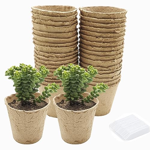 LWMLWM 60 Stück Abbaubare Anzuchttöpfe, 8cm Anzuchttöpfe Aussaattöpfe Pflanztopf Torftöpfe Runder Sämlingstopf Set mit 120 Stück Pflanzenetiketten von LWMLWM