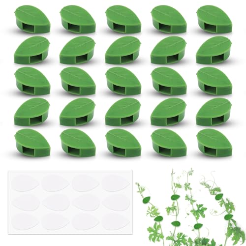 LWMTT kletterpflanzen Befestigung Wand,Unsichtbare Selbstklebende Blattpflanze Pflanzenwandkletterclips 30 Grüne Pflanzenklammern für Kabeldrahtbefestigung Rebentraktion Gartenarbeit Pflanzenstützung LWMTT kletterpflanzen Befestigung Wand,Unsichtbare Selbstklebende Blattpflanze Pflanzenwandkletterclips 30 Grüne Pflanzenklammern für Kabeldrahtbefestigung Rebentraktion Gartenarbeit Pflanzenstützung von LWMTT
