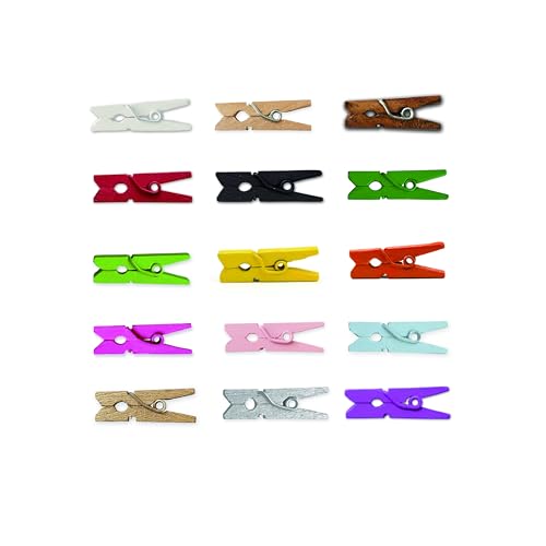 LWR CRAFTS Mini-Wäscheklammern aus Holz 15 Farben 100 Stück pro Packung 1″ 2,5 cm von LWR CRAFTS