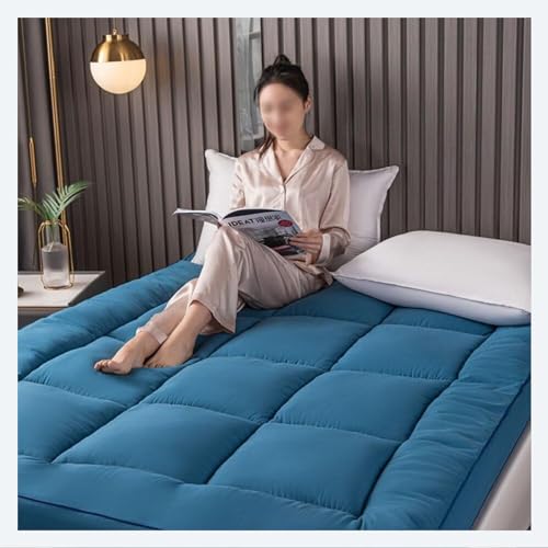 LXBche Bodenmatratzen traditionelle Futon Möbel Faltbare Matratze und tragbare japanische Dicke Tatami-Matratze, leicht zu verstauen Twin Full Queen für Camping Couch Schlafsaal Matratze (Color : 3, von LXBche