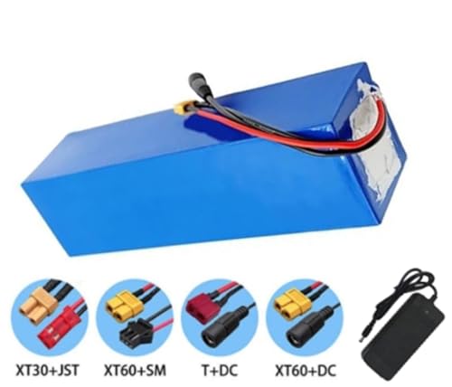 LXBche E-Bike Lithium-Ionen-Akkupack 48 V 20 Ah mit 54,6 V Ladegerät – Hohe Leistung for Elektrofahrräder und -Roller, integriertes BMS, kompatibel mit 250 W–1000 W Motoren, XT60/SM-Stecker(SM) von LXBche