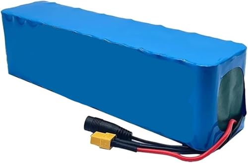 LXBche Elektrofahrrad-Akkupack 12 V 36 V 48 V 52 V 60 V 10 AH-30 AH Lithium-Ionen for 1000-W-Motoren, E-Bike-Moped-Ersatz (XT60 48 V 20 Ah)(20AH_SM Plug) von LXBche