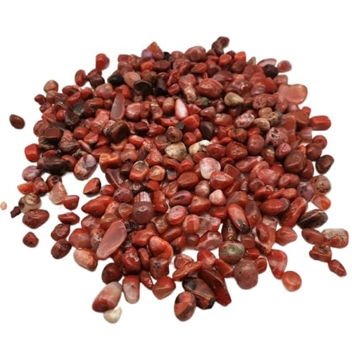 Kieselsteine 12Stones Steinkies for Aquarium Schildkrötenbecken Deko/Sukkulente Landsca von LXHZSY