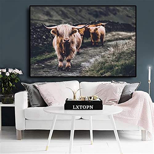 Hochlandrind Bild Leinwanddrucke,Nordic Highland Cow Bilder Druck auf Leinwand Schottisches Hochland kuh Gemälde,Modern Hochlandrind Wandbilder Poster Wohnzimmer Deko,Kein Rahme (kuh-4, 60x80cm) von LXTOPN