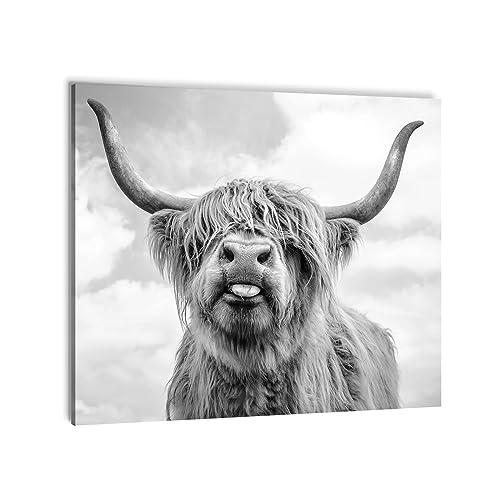 LXTOPN Hochlandrind Bild Schwarz Weiß Wandbilder, Kuh Poster mit Rahmen, Highland Cow Bilder für Wohnzimmer Schlafzimmer - Bereit zum Aufhängen von LXTOPN