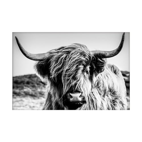 LXTOPN Kuh wandbild Leinwandbild Schlafzimmer Bilder Schwarzweiss Wand Deko Wohnzimmer Modern Wanddeko Highland Cow (40 x 50 cm) von LXTOPN