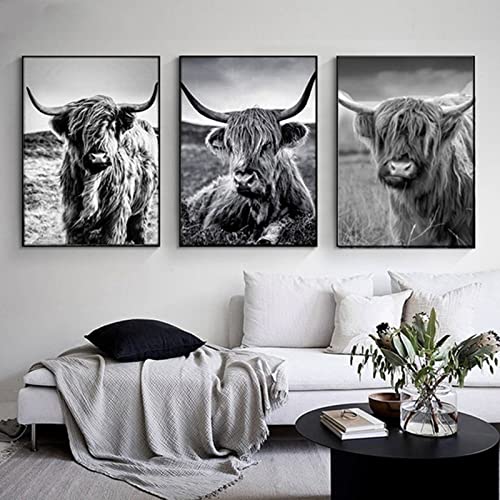 LXTOPN Lustige Hochland Kuh Wandkunst Poster Bilder,Schwarz-Weiß Leinwand Bild,Rustikale Stil Wandbilder für Wohnzimmer, Schlafzimmer Dekor,ohne Rahmen (3*kuh-3, 70x90cm*3) von LXTOPN