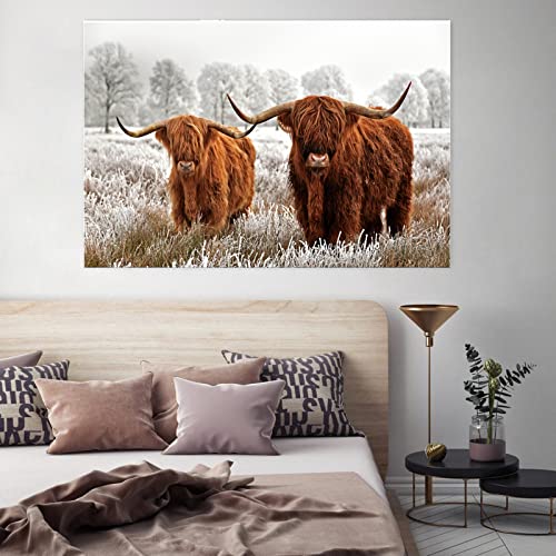 Nordic Tiere wandbilder,Hochlandrind Poster,Schottisches Hochland Kuh Leinwand Malerei, Moderne Leinwand Kunst Drucke Cow Bild für Wohnzimmer Dekor,ohne Rahmen (kuh-5, 40x60cm) von LXTOPN