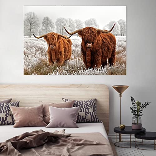 Nordic Tiere wandbilder,Hochlandrind Poster,Schottisches Hochland Kuh Leinwand Malerei, Moderne Leinwand Kunst Drucke Cow Bild für Wohnzimmer Dekor,ohne Rahmen (kuh-5, 50x70cm) von LXTOPN