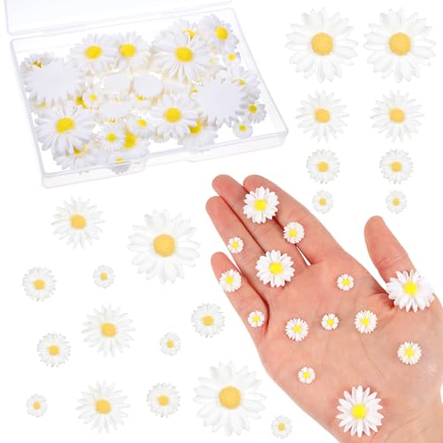 LXUEJIE 50 Stück Weiß Gänseblümchen Deko, Mini Harz Gänseblümchen Künstliche Dekorative Blumen Tortendeko Mini Streudeko Frühling für DIY Handwerk Party Decoration LXUEJIE 50 Stück Weiß Gänseblümchen Deko, Mini Harz Gänseblümchen Künstliche Dekorative Blumen Tortendeko Mini Streudeko Frühling für DIY Handwerk Party Decoration von LXUEJIE