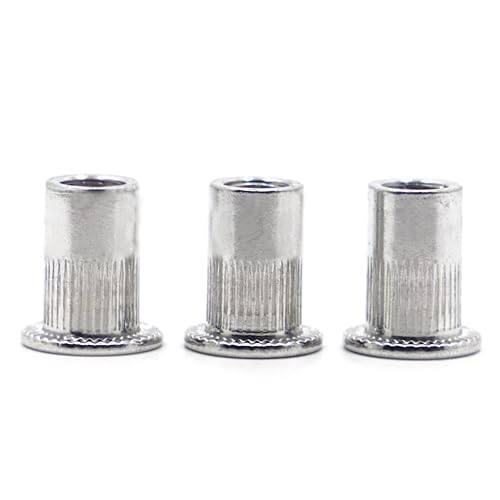 LXURY 10 Stücke M3 M4 M5 M6 M8 M10 M12 Aluminium Nietmutter Flachkopf Gewinde Nieteinsatz Nutsert Kappe Nietmutter (Size : M12 10pcs) von LXURY