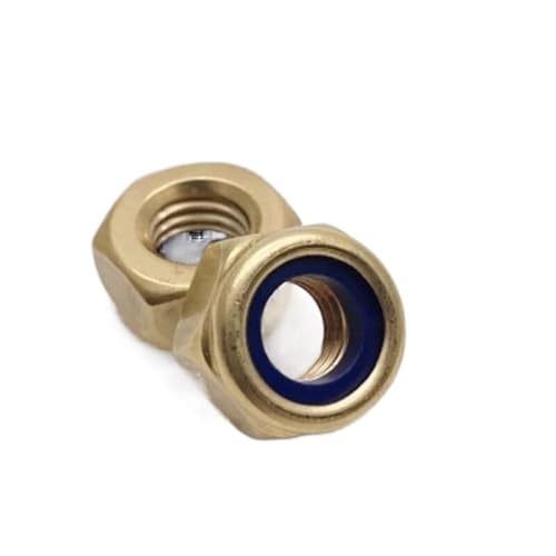 LXURY 2/5/10 Stück DIN985 M4 M5 M6 M8 M10 Messing Nylon Sicherungsmutter Einsatz Sicherungsmuttern (Size : M10 2pcs) von LXURY
