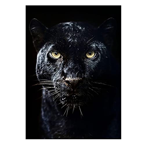 LXWWW Abstrakte Leinwanddrucke Poster Black Panther Tier Wandkunst Malerei Moderne Leinwand Bild Für Wohnzimmer Wohnkultur 70x100 cm Rahmenlos von LXWWW