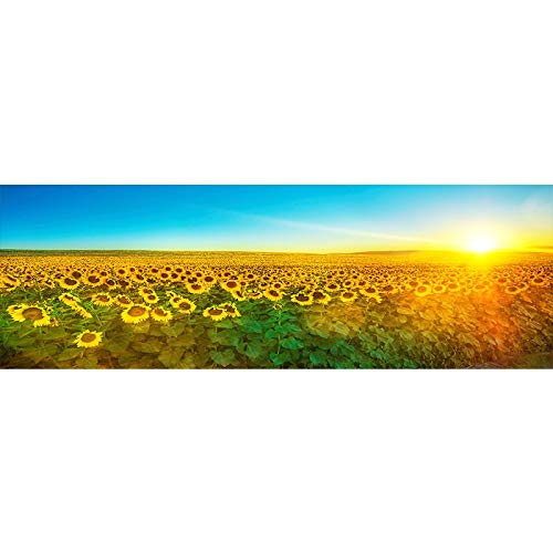 Landschaft HD Sonnenblume Sonnenaufgang Leinwand Malerei Poster und Drucke Wandkunst Bilder Home Decoration 60X180cm rahmenlos von LXWWW