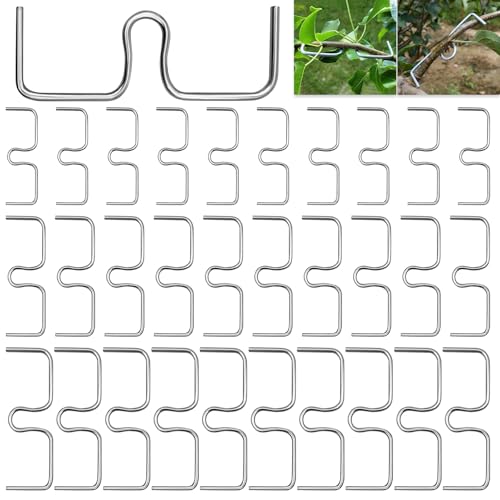 LXYYDS 30 Stück Astspreizer für Obstbäume, (8/10/13CM) M Formiger Astspreizer, Zweigspreize für Gartenbäume, Astklammern Metall Zweigspreize, Astbiegewerkzeug zum Formen von Obstbaumzweigen von LXYYDS