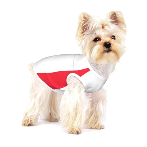 Hundehemd mit französischer Flagge, für kleine Rassen wie Chihuahuas, Yorkies und Welpen von LXqlSS