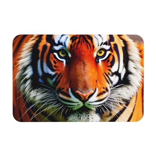 LXqlSS Tiger Stripes Orange Pattern Print Badezimmer Bodenbelag Matte Kieselgur Duschmatte Kieselgur Badematten für Badezimmer Boden Schnell trocknend von LXqlSS