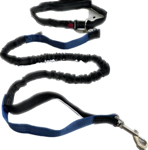 Jogging Hundeleine, freihändige Hundeleine mit verstellbarem Hüftgurt und Dehnbarer Bungee-Leine, reflektierende Nähten (blau - schwarz) von LYB