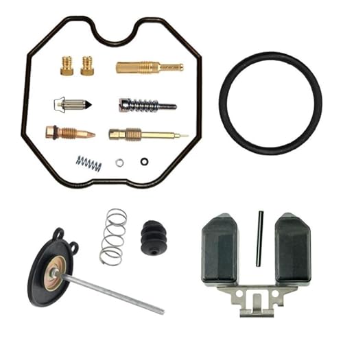LYBH Vergaser-Kit Reparatursatz Für Motorradvergaser Für HYOSUNG RX125 RT125 XRX125 RX XRX RX125SM RT125D Schwimmer- Und Pumpenteile LYBH Vergaser-Kit Reparatursatz Für Motorradvergaser Für HYOSUNG RX125 RT125 XRX125 RX XRX RX125SM RT125D Schwimmer- Und Pumpenteile von LYBH