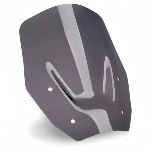 LYBH Windschutzscheibe Motorrad-Windschutzscheibe Für B&MW R 1300 GS R1300GS R1300 GS R 1300GS Frontscheibe Zubehör Windabweiser(SCHWARZ) von LYBH