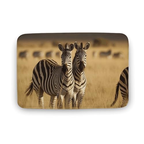 Fußmatte für den Innen- und Außenbereich, Motiv: Zebras im Gras der Savanne, für Eingangstür, Küche, Teppich, geeignet für Schlafzimmer, Büro von LYDSKGEQ