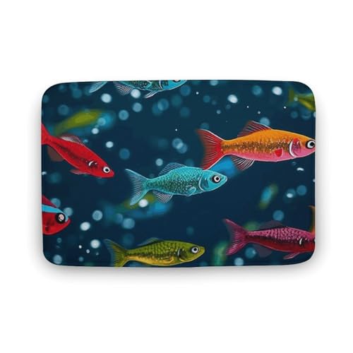 Fußmatte für den Innen- und Außenbereich, Unterwasser-Motiv, bunte Elritzen-Druck, Eingangstürmatten, Küchenteppich, geeignet für Schlafzimmer, Büro von LYDSKGEQ