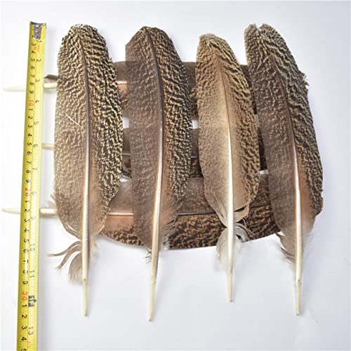 LYFANG Verschiedene echte echte Adlerfedern, 10 Stück, 15–40 cm, Adlerfedern, für Bastelarbeiten, Hochzeit, Dekoration, Federn von LYFANG