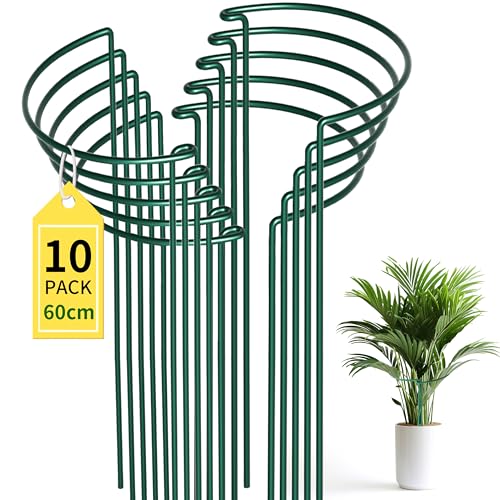 LYFETC 10 Stück Stabile Metall Staudenhalter (25cmØ x 60cm H) – Extra Starke pflanzenstütze für pfingstrosen, Stauden, Blumen – Ideal für Garten, Indoor & Balkon von LYFETC