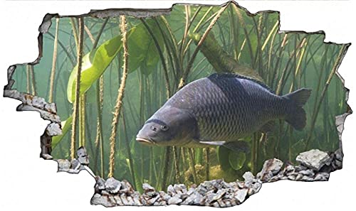 Fisch Karpfen Wasser Meer Wandtattoo Wandaufkleber- Wandtattoo Wandbild Poster Deko- 50x70cm von LYHDP