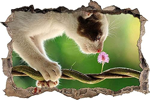 Wandbilder Katze mit rosa Blumen abnehmbare zerrissene Loch-Dekor-Tapete PVC-Kunst-Kindergarten-Kunstwerk-Kinderzimmer-Wand-Dekor- Wandtattoo Wandbild Poster Deko- 50x70cm von LYHDP