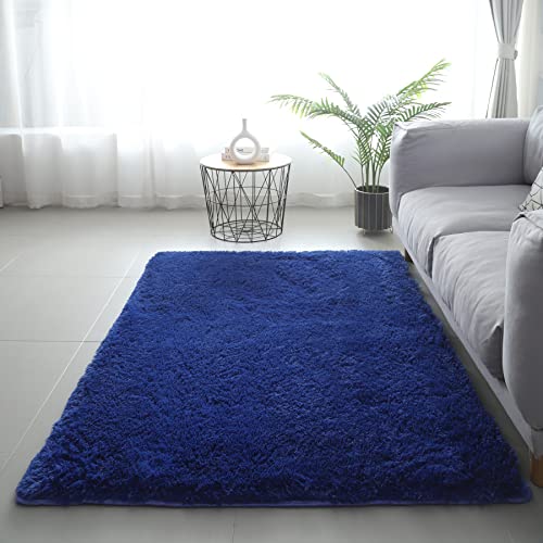 LYKEJI Teppiche für Kinderzimmer, Dekoration, flauschige Teppiche, Shaggy-Teppiche, lange, weiche Teppiche für Wohnzimmer, rutschfeste Teppiche für Wohnzimmer, Schlafzimmer, Fußmatten (80x160cm, blau) von LYKEJI