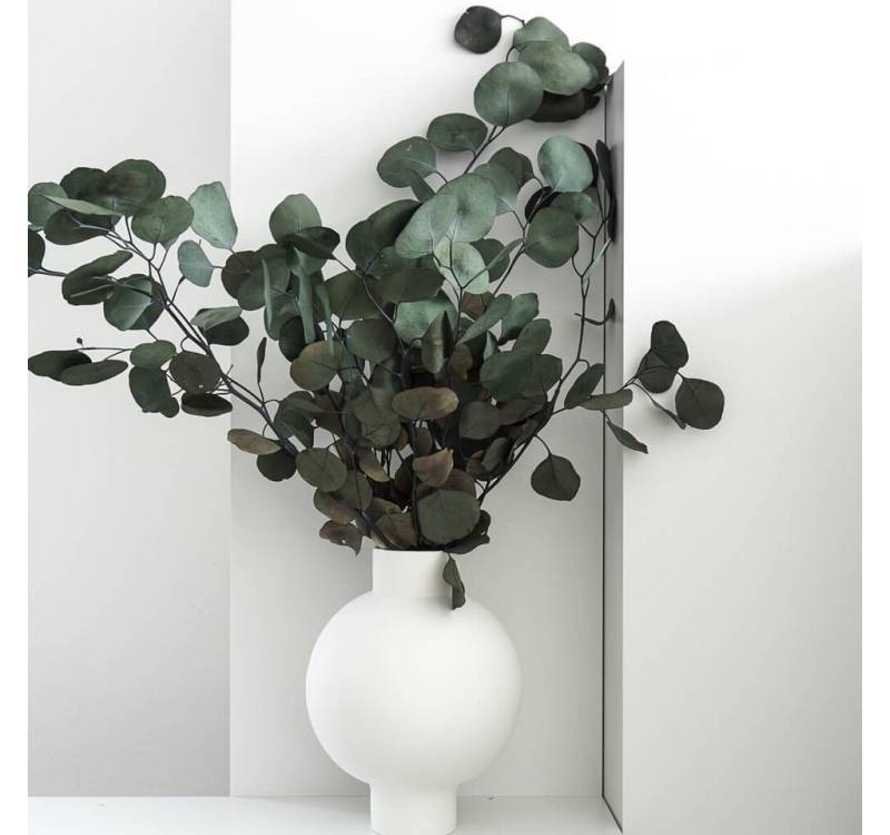 Trockenblume Eukalyptus Popolus - der Runde, LYKKE & You von LYKKE & You
