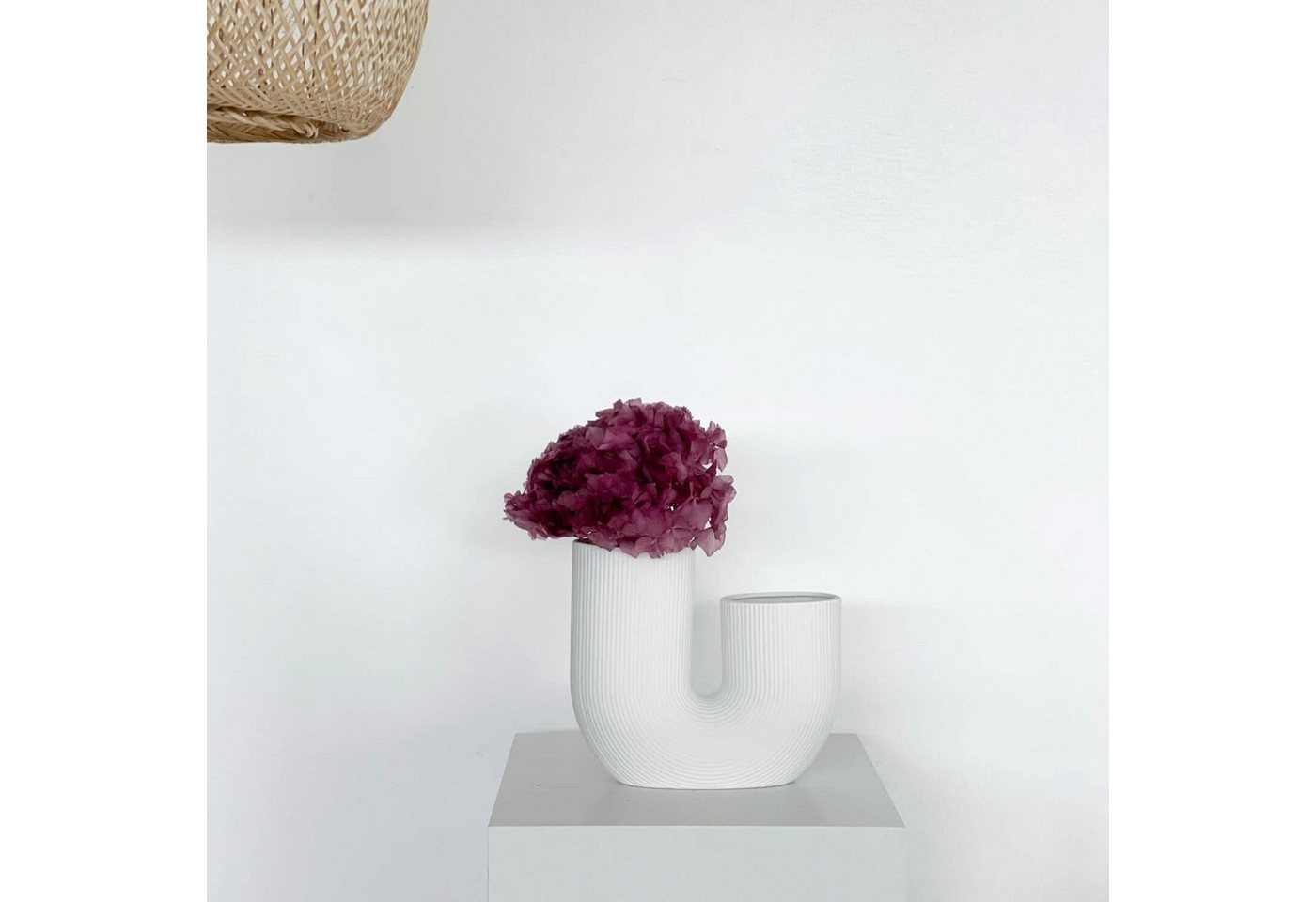 Trockenblume Hortensie: Zeitlose Schönheit als perfekte Dekoration, LYKKE & You, Höhe 20 cm von LYKKE & You