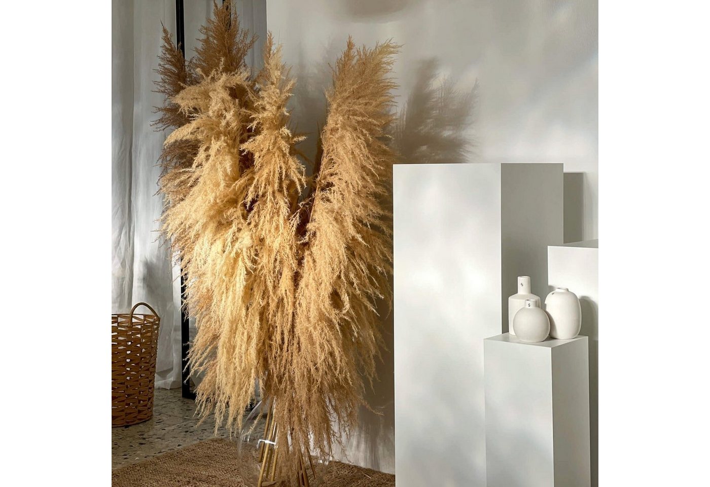 Trockenblume Pampasgras XL: Zeitlose Eleganz für Dein Zuhause, LYKKE & You, Höhe 115 cm von LYKKE & You