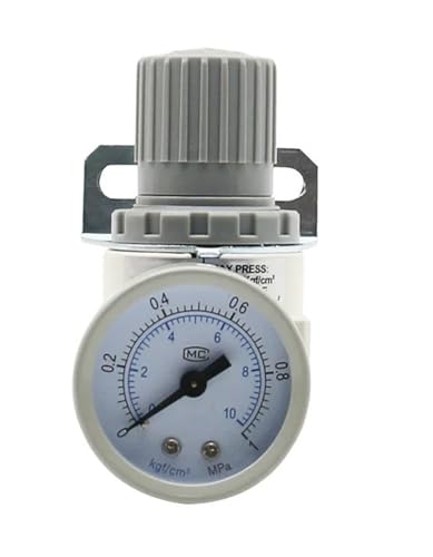 AR2000 1/4 "Gewinde Pneumatische Luft Kompressor Druckregler Reduktion Ventil 4mm 6mm 8mm 10mm 12mm stecker Armaturen(AR2000 White-BT,Filter) von LYLNV