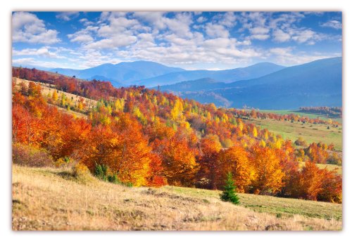 XXL Poster 100 x 70cm (F-217) Der Herbst hält Einzug im Gebirge die Bäume sind buntbelaubt und strahlen in feurig bunten Farben (Lieferung gerollt!) von LYSCO