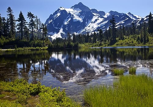 LYSCO XXL Poster 100 x 70cm (S-835) Bergsee umstehende Bäume und mächtiges Gebirge (Lieferung gerollt!) von LYSCO