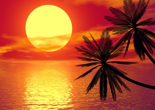 XXL Hochglanz - Poster 100 x 70cm (S802) red sunset and palm (Lieferung gerollt!) von LYSCO