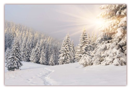 XXL Poster 100 x 70cm (F-220) Tiefverschneite Winterlandschaft mit Bäumen welche unter der Schneelast ächzen, die Sonne strahlt vom Himmel (Lieferung gerollt!) von LYSCO