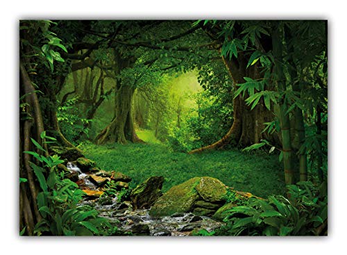 LYSCO XXL Poster 100 x 70cm (F245) wilder grüner tropischer Dschungel mit Fluss und Urwaldriesen (Lieferung gerollt!) von LYSCO
