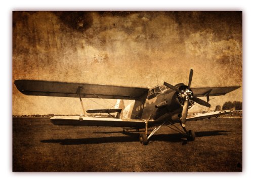 LYSCO XXL Poster 100 x 70cm (S-813) altes Doppeldecker Flugzeug Antonov (Lieferung gerollt!) von LYSCO