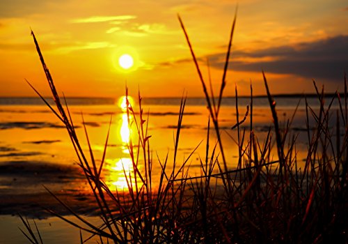 XXL Poster 100 x 70cm (S-848) Blick vom Strand aufs ruhige Meer beim Sonnenuntergang (Lieferung gerollt!) von LYSCO