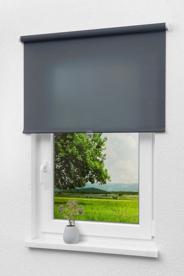 Rollo Qualitätsspringrollo Tageslicht Dunkelg, LYSEL®, blickdicht, HxB 190x62cm von LYSEL®