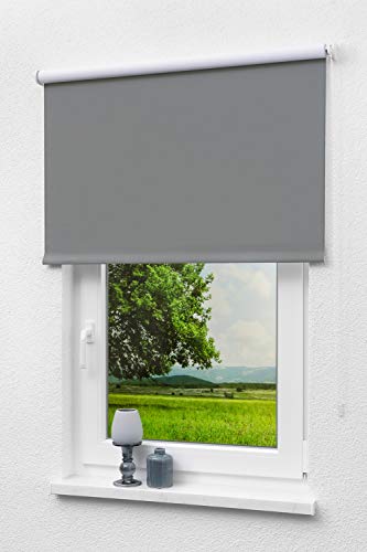 LYSEL - Qualitätsrollo abdunkelnd anthrazit, (B x H) 153cm x 190cm in grau/anthrazit von LYSEL