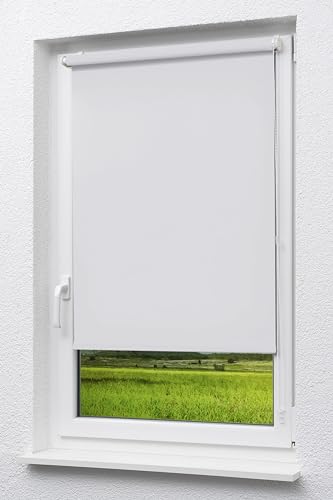 Lysel Outlet - Mini Rollo Tageslicht Reinweiß (B x H) 120cm x 175cm von LYSEL
