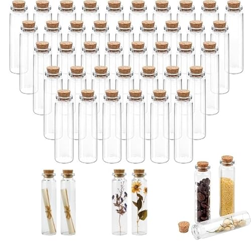 LYTIVAGEN 40 Stück 20ml Mini Glasflasche mit Korken, Mini Korkenflasche zum befüllen transparente Glas Wunschflaschen Geschenk Glasflasche Mini Reagenzglas mit Korken für DIY Handwerk Dekoration von LYTIVAGEN
