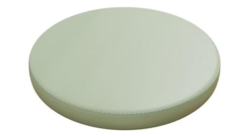 LYVQZPWLR Runde Küchenstühle imitiert, Rutschfestes, rundes Sitzkissen aus Memory-Schaum, Esszimmerstuhlkissen(Light Green,30cm/11.8inch) von LYVQZPWLR