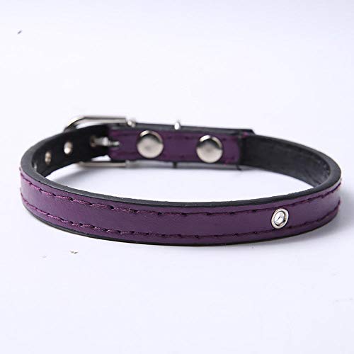 LYVQZPWLRHund mit Werkzeug, Grundlegende Hundeleinen Hundehalsband Leder verstellbares Hundegeschirr 6 Farbe kleine mittelgroße Hunde Haustier(Purple,Medium) von LYVQZPWLR