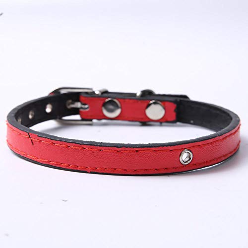 LYVQZPWLRHund mit Werkzeug, Grundlegende Hundeleinen Hundehalsband Leder verstellbares Hundegeschirr 6 Farbe kleine mittelgroße Hunde Haustier(Rosso,Small) von LYVQZPWLR